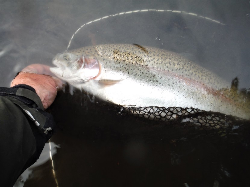Winter rainbow